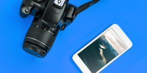 Cellphone Camera vs. Digital Camera