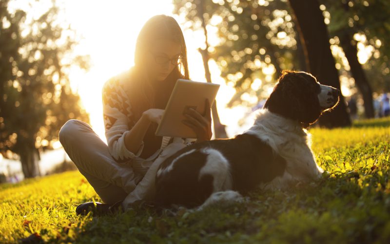 alt="woman enjoying the sun outdoors in sunset with dog using tablet"/>